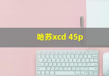 哈苏xcd 45p